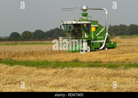 Raccolta di prodotti a granella come parte di Rothamsted Experimental Station esperimenti di efficienza Foto Stock