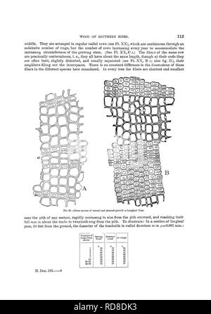 . Relazione sulle indagini forestali dell'U. S. Dipartimento di Agricoltura. 1877-1898. Le foreste e la silvicoltura. . Si prega di notare che queste immagini vengono estratte dalla pagina sottoposta a scansione di immagini che possono essere state migliorate digitalmente per la leggibilità - Colorazione e aspetto di queste illustrazioni potrebbero non perfettamente assomigliano al lavoro originale. Fernow, B. E. (Bernhard Eduard), 1851-1923; Stati Uniti. Forest Service. Washington, Govt. stampa. off. Foto Stock