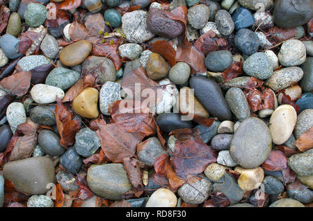 Paesaggio liscio rocce con la caduta delle foglie. Foto Stock