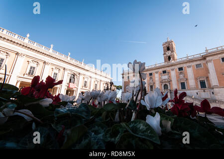 Roma, Italia. 16 gennaio, 2019. Il Campidoglio è compreso tra il foro e il Campo Marzio. Si tratta di uno dei sette colli di Roma. La collina di piazza è stata progettata da Michelangelo, è rivestito con musei. Fontana della Dea Roma (fontana centrale) Municipio - Roma Capitale. Credito: Andrea Ronchini/PacificPress/Alamy Live News Foto Stock