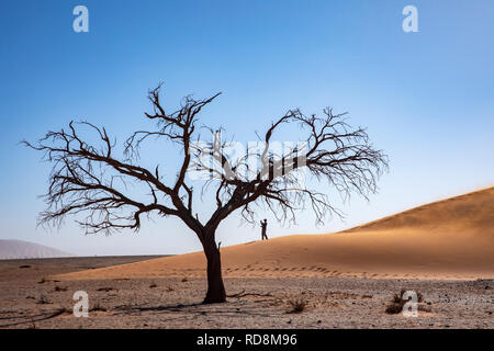 Persona tenendo pictues sulle dune 45 in Namib-Naukluft National Park, Namibia, Africa Foto Stock