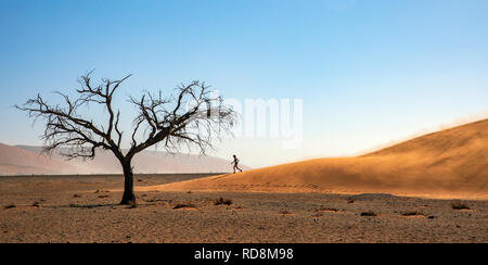 Panoramica di immagini di una donna in corsa giù Dune 45 in Namib-Naukluft National Park, Namibia, Africa Foto Stock
