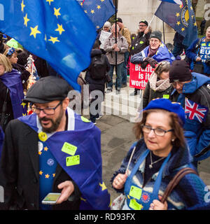 La radio e la TV media e manifestanti su college green opposta a Westminster il giorno di Theresa Maggio del piano brexit sconfitta Foto Stock