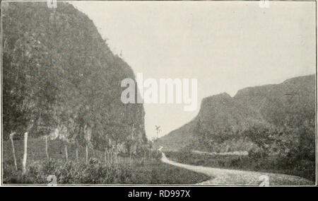 . La revisione di Cuba. Cuba -- periodici. 14 LA REVISIONE DI CUBA. Scena lungo la strada che da Pinar del Rio a Vinales, nel distretto di manganese. La loro misura sembra essere di notevole importanza, essi non sono stati sistematicamente esplorati o attivamente minate. A Sabalo, a sud della ferrovia, ci sono alcuni molto estesi depositi di perfettamente bianco sabbia silicea 98% puro, che sono state molto attivamente estratto per la fabbricazione di bottiglie per l'Avana di birrifici e bottiglia di carattere generale e una nuova società è appena stato organizzato per completare l'installazione di una fabbrica del vetro per produrre tutti i tipi di glassw Foto Stock