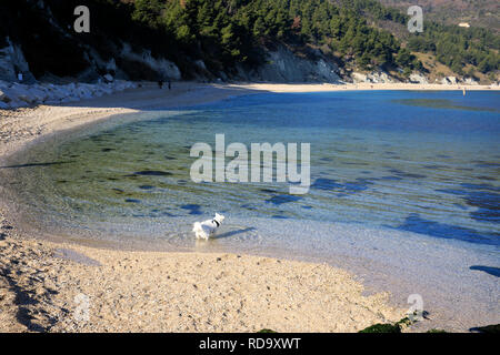 Spiaggia Di San Michele A Sirolo In Riviera Del Conero