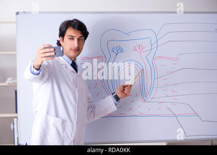 Giovane bello dentista di fronte alla lavagna Foto Stock