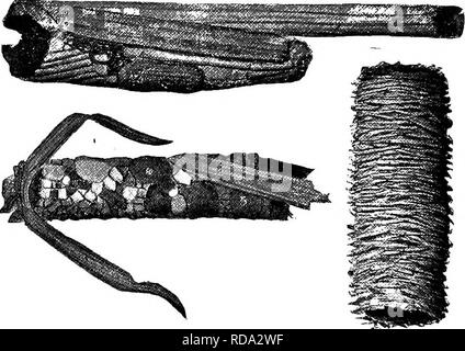. Di acqua fresca biologia. Biologia di acqua dolce. 900 di acqua fresca la biologia Caddisflies {Order tricotteri) caddisflies costituiscono un ampio gruppo di insetti, la quasi totalità dei quali sono acquatiche nelle loro fasi immature. Tra gli adulti sono molte belle specie di colori morbidi e di grande eleganza della forma. Avente rudimentale parti di bocca sono di breve durata. Essi sono principalmente notturno in abitudini e volare a luci, spesso in grande num- BER. Alcuni sono diurna e passate con il mouse sopra l'acqua a lungo sostenuto il volo orizzontale; altri dance in su e in giù le imprese sotto il rifugio di streamside alberi. Gli insetti non sono Foto Stock