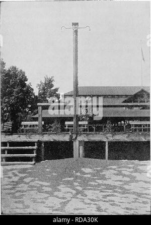 . Di acqua fresca biologia. Biologia di acqua dolce. 886 di acqua fresca biologia muta il loro esterno pelle chitinous ancora una volta dopo la loro trasformazione dalla forma nymphal all'adulto. Esso è principalmente questi callow e adulti immaturi (noto per i libri come sub-imagos e per i pescatori britannici come duns) che vola a Hghts. Emergenti. Fig. I3S7. Effimere caduto al di sotto di un elettrico-luce post sul Lago Erie. (Fotografia dal Professor O. E. Jennings.) da un affitto nel retro del vecchio nymph pelle, stendevano i loro recentemente allargato le ali e rise debolmente in aria e se un essere di luce in prossimità di essi sciame di esso; altri Foto Stock