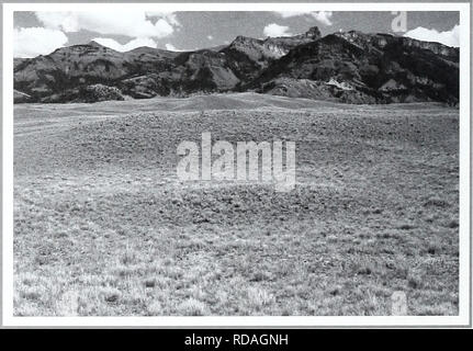 . Ottanta anni di vegetazione e il paesaggio cambia nel nord della Grande Pianura : un archivio fotografico. Impianti di gamma; paesaggio; botanica; forbs; erbe; paesaggi; composizione botanica; arbusti e alberi. 76. Si prega di notare che queste immagini vengono estratte dalla pagina sottoposta a scansione di immagini che possono essere state migliorate digitalmente per la leggibilità - Colorazione e aspetto di queste illustrazioni potrebbero non perfettamente assomigliano al lavoro originale. Klement, K. D; Heitschmidt, Rodney K. (Rodney Keith); Kay, C. E; Stati Uniti. Servizio di ricerca agricolo. [Miles City, MT] : U. S. Dipartimento di Agricoltura, agricoltura R Foto Stock