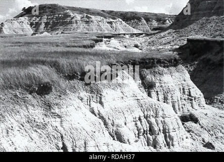 . Ottanta anni di vegetazione e il paesaggio cambia nel nord della Grande Pianura : un archivio fotografico. Impianti di gamma; paesaggio; botanica; forbs; erbe; paesaggi; composizione botanica; arbusti e alberi. 46. Si prega di notare che queste immagini vengono estratte dalla pagina sottoposta a scansione di immagini che possono essere state migliorate digitalmente per la leggibilità - Colorazione e aspetto di queste illustrazioni potrebbero non perfettamente assomigliano al lavoro originale. Klement, K. D; Heitschmidt, Rodney K. (Rodney Keith); Kay, C. E; Stati Uniti. Servizio di ricerca agricolo. [Miles City, MT] : U. S. Dipartimento di Agricoltura, agricoltura R Foto Stock