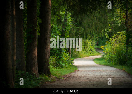 Vista la mattina di un percorso a piedi a Cuyahoga Valley National Park, Ohio. Foto Stock