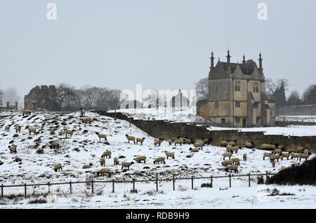 Oriente Banqueting House, pecore e Cotswold muro di pietra, Chipping Campden, Gloucestershire Cotswolds in inverno la neve Foto Stock