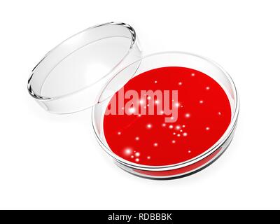 Capsula di Petri Foto Stock