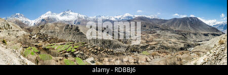 Campi terrazzati di Muktinath valley, Thorong La pass e le montagne circostanti, Circuito di Annapurna, Nepal Foto Stock