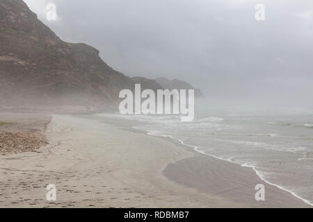 Il litorale di Mughsayl, vicino a Salalah, provincia di Dhofar, Oman, Khareef durante la stagione dei monsoni Foto Stock