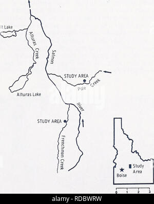 . Effetti di pecore al pascolo su un rivierasche-stream ambiente. Pecore; Flusso di ecologia. 1** United States Department of Agriculture Forest Service Intermountain Forest e la gamma di Esperimento Stazione Ricerca Nota INT-307 Marzo 1981 Effetti di pecore al pascolo su un ambiente Riparian-Stream - William S. Platts1 ABSTRACT se &gt;** una sezione di flusso in un prato della ricezione di alta intensità il pascolo di ovini è stato quasi cinque volte più ampia e solo un quinto come profondo (media) come un flusso adiacente sezione dove il prato luce ricevuta o no al pascolo. In pesantemente pascolato area banche a sottosquadro sono state elim'inate Foto Stock