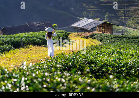 Donna asiatica che indossa il Vietnam cultura tradizionali nel tè verde campo. Foto Stock