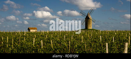 Saint-Aubin de Branne il mulino a vento e una piccola casa con vigneti, Gironde, Francia Foto Stock