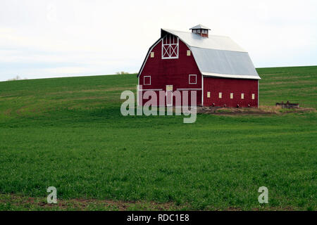 Un granaio rosso nel campo di grano della Palouse, nello Stato di Washington, USA Foto Stock