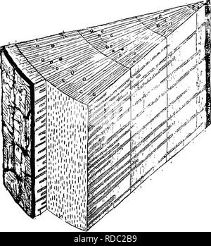. Botanica agricola per gli studenti . La botanica. Struttura di woody steli 201 di acqua e sali minerali forniti dalle radici. Tuttavia, molto di alimenti conservati in alberi viene trasferito alle regioni in crescita attraverso lo xilema. Questo è specialmente vero in primavera come è ben noto nel caso di aceri dove lo xilema trasporta una grande quantità di zucchero nella primavera SAP. In gimnosperme xilema è costituito principalmente da tracheids attraverso cui l'acqua ascende attraverso il passaggio da una cella ad un'altra attraverso la sottile luoghi della bordered box che sono previsti nelle loro pareti cellulari. In woody. Fig. 180. - Torta Foto Stock