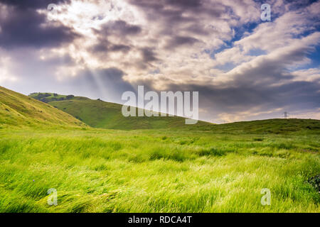 I raggi del sole illuminano un prato verde, nella parte sud di San Francisco Bay, California Foto Stock