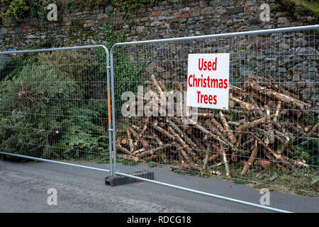 Usato albero di Natale riciclare sito a Killarney, County Kerry, Irlanda Foto Stock