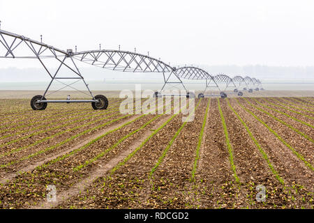 Vista laterale di un perno centrale di un sistema di irrigazione in un campo di giovani di mais nella campagna francese da una nebbiosa mattina di primavera. Foto Stock