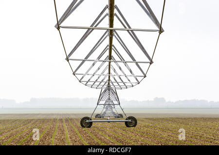 Vista dal basso di un perno centrale di un sistema di irrigazione in un campo di giovani di mais nella campagna francese da una nebbiosa mattina di primavera. Foto Stock