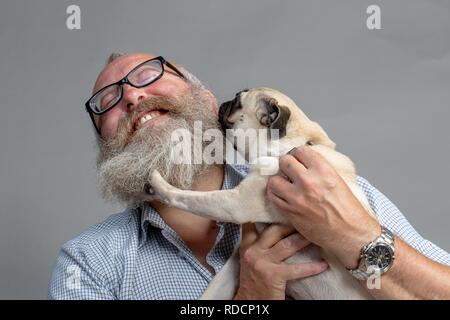 Grigio-uomo barbuto godendo di cane baci da un 8-mese-vecchio pug. Primo incontro. Foto Stock