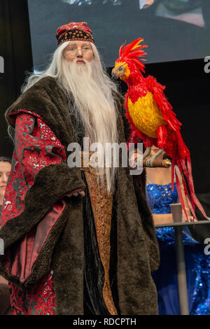 STUTTGART, Germania - 30 GIU 2018: Cosplay Contest - Dumbledore da Harry Potter - al Comic Con Germania Stoccarda Foto Stock