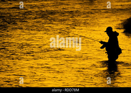 Silhouette della pesca a mosca rod reel in fiume con la luce del sole dorato Foto Stock