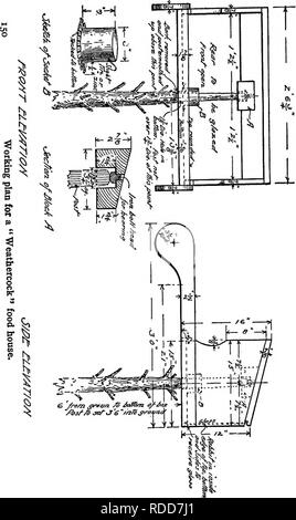 . Wild Bird ospiti; come farli divertire; con i capitoli sulla distruzione degli uccelli, la loro situazione economica e valori estetici, suggerimenti per trattare con i loro nemici e sull' organizzazione e la gestione del club degli uccelli. Gli uccelli; uccelli. . Si prega di notare che queste immagini vengono estratte dalla pagina sottoposta a scansione di immagini che possono essere state migliorate digitalmente per la leggibilità - Colorazione e aspetto di queste illustrazioni potrebbero non perfettamente assomigliano al lavoro originale. Baynes, Ernest Harold, 1868-1925. New York, E. P. Dutton &AMP; l'azienda Foto Stock