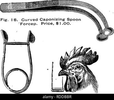 . Elenco dei premi e dei regolamenti che disciplinano la prima esposizione annuale del New York pollame scambio : che si terrà presso il Madison Square Garden di New York, Dicembre 14-21, 1887. Il pollame. Fig. 1 7. Cucchiaio Caponizing pinza. Pice, $I.OO Fig. 24-. Il cappone cucchiaio e Hoo^c. Prezzo, $1.00 Fig. 23. Dow cannula con peli di cavallo. Prezzo 50 Cts.. /^. Si prega di notare che queste immagini vengono estratte dalla pagina sottoposta a scansione di immagini che possono essere state migliorate digitalmente per la leggibilità - Colorazione e aspetto di queste illustrazioni potrebbero non perfettamente assomigliano al lavoro originale. New York pollame Exchange. Mostra (1a : 1887 : Foto Stock