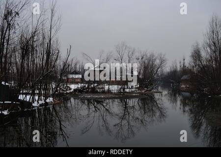 Srinagar, Jammu e Kashmir in India. Xvii gen, 2019. coperta di neve valle dopo la nevicata a Srinagar, la capitale estiva della controllata indiana del Kashmir. Il Kashmir ha testimoniato la sua prima nevicata. Credito: Masrat Zahra/ZUMAPRESS.com/Alamy Live News Foto Stock