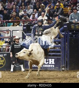 Denver, Colorado, Stati Uniti d'America. 16 gennaio, 2019. Bull Rider JOE FROST di Randlett, UT rides Scrappie durante il PBR Denver scivolo fuori finali all'113th.National Stock occidentale mostrano al Colosseo di Denver Mercoledi sera. Credito: Hector Acevedo/ZUMA filo/Alamy Live News Foto Stock