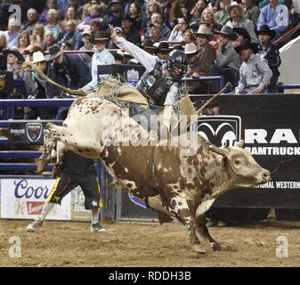 Denver, Colorado, Stati Uniti d'America. 16 gennaio, 2019. Bull Rider SCOTTIE KNAPP di Edgewood, NM giostre Toro Seduto durante il PBR Denver scivolo fuori finali all'113th.National Stock occidentale mostrano al Colosseo di Denver Mercoledi sera. Credito: Hector Acevedo/ZUMA filo/Alamy Live News Foto Stock