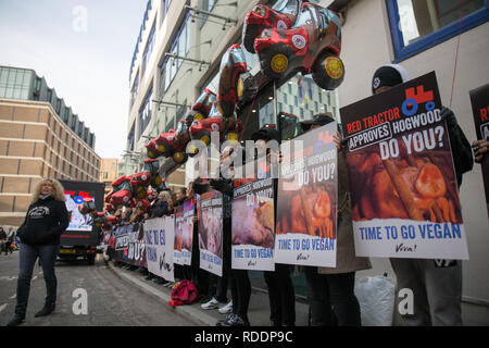 Londra, Regno Unito. 18 gennaio 2019. Gli attivisti Vegan protesta trattori rossi pratiche in London Credit: George Wright Cracknell/Alamy Live News Foto Stock