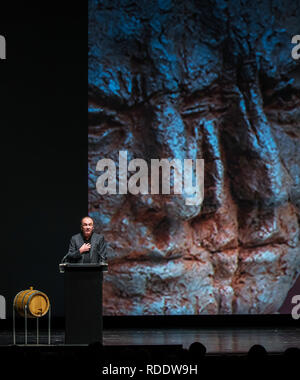 18 gennaio 2019, Renania-Palatinato, Mainz: Robert Menasse, scrittore austriaco e vincitore del 2019 Carl Zuckmayer medaglia, darà un discorso di ringraziamento presso lo Staatstheater. Sullo sfondo è possibile vedere un dettaglio proiezione del busto Carl-Zuckmayer in piedi in Nackenheim. La medaglia è donato in memoria dello scrittore e drammaturgo che era nato a Nackenheim. Il premio riconosce i meriti per la lingua tedesca ed è presentato annualmente. Foto: Andreas Arnold/dpa Foto Stock