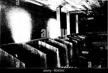 . Moderne Capre di Latte : stato di latte di capra industria; metodi di redditizia la produzione di latte; la cura e la gestione delle attività commerciali di mandrie e caprini domestici . Capre. Alloggiamento a^^D ATTREZZATURE POR CAPRE 235 effettivi a livello del pavimento. Tale fascetta si spegne sono soprattutto di essere desiderata per la gravidanza non, per essi li proteggono contro i pericoli di scontri e di una condizione di blocco che sono così pericolosi per la sua condizione. Per gli ultimi giorni della sua gravidanza una scatola in stallo è necessario, dove Ella farà kid in pace e conforto. Una buona dimensione è 4' da 5". Fig. 62. Tie-in bancarelle su una piattaforma rialzata. (La cortesia del mondo di capra Foto Stock