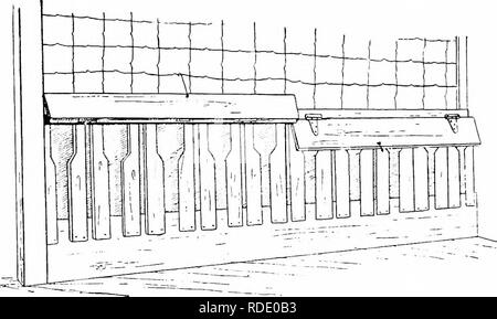 . Moderne Capre di Latte : stato di latte di capra industria; metodi di redditizia la produzione di latte; la cura e la gestione delle attività commerciali di mandrie e caprini domestici . Capre. 230 moderne Capre di Latte dato in Fig. 60. Questa forma di scatola di alimentazione è molto efficace nella prevenzione dei rifiuti di fieno. La capra deve hft la sua testa piuttosto elevata per raggiungere l'apertura di testa e quindi deve scendere verso il basso il collo slot per raggiungere il mangime nella casella . In questo modo si evita che in grande misura la perdita di fieno, che la capra è inclinata per tirare fuori una scatola di alimentazione e spargere sul pavimento. La scatola è. Fig. 59.-lato della scatola di alimentazione, mostrando le coppie Foto Stock