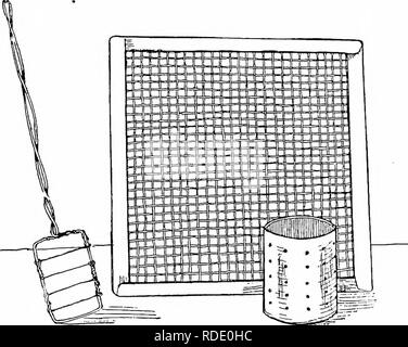 . Moderne Capre di Latte : stato di latte di capra industria; metodi di redditizia la produzione di latte; la cura e la gestione delle attività commerciali di mandrie e caprini domestici . Capre. Il mercato del latte di capra prodotti 61 con filo sottile, come mostrato in Fig. 20. Il fatto principale da tenere a mente è che il detergente e nitide la cagliata viene tagliata, il più ricco sarà il formaggio. Se la cagliata viene rotta grossolanamente o purea nel taglio, il grasso fuoriesce nel siero, e così è perso per il formaggio. Quando il taglio viene eseguito, la risultante cubetti devono. Fig. 20.-Formaggio apparecchiatura di taglio della cagliata, stampo draiDing rack. essere circa il cne pollice Foto Stock