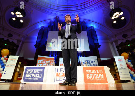 Lasciare significa lasciare fondatore Richard Tice parlando a lasciare significa lasciare al rally di Central Hall di Londra. Foto Stock