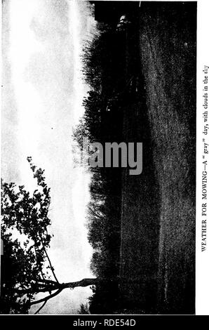 . Prati e come farli : insieme con la corretta tenuta del putting green . Prati. . Si prega di notare che queste immagini vengono estratte dalla pagina sottoposta a scansione di immagini che possono essere state migliorate digitalmente per la leggibilità - Colorazione e aspetto di queste illustrazioni potrebbero non perfettamente assomigliano al lavoro originale. Barron, Leonard, 1868-1938. Città Giardino, N. Y. : Doubleday, pagina &AMP; Co. Foto Stock