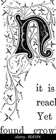 . I nostri alberi da bosco . Alberi; alberi. 52. Il JUNIPEE. Juniperus communis. La piastra 6, FIA. 3. ^^  0 Rivendicazione di magnificenza di growtli può essere stabilito per l'oggetto del presente capitolo. Infatti, la sua pretesa di essere considerato un albero a tutti può essere contestato da alcune persone; per in nostri boschi è raro che Juniperus communis raggiunge un altezza di oltre quindici metri. Ancora esemplari di questa specie sono state crescendo di altezza che sarà guerra- rant della sua iscrizione qui. Le sue foglie, appuntita e setole simili, sono prevalentemente a carico in piccoli gruppi di tre su un po' i suoi rami cespuglioso. La sua. Si prega di Foto Stock