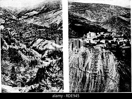 . Studi in francese la silvicoltura . Le foreste e la silvicoltura. . Si prega di notare che queste immagini vengono estratte dalla pagina sottoposta a scansione di immagini che possono essere state migliorate digitalmente per la leggibilità - Colorazione e aspetto di queste illustrazioni potrebbero non perfettamente assomigliano al lavoro originale. Woolsey, Theodore Salisbury, 1879-; Greeley, William Buckhout, 1879-. New York : Wiley Foto Stock