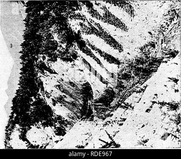 . Studi in francese la silvicoltura . Le foreste e la silvicoltura. Politica e sommario 155. &Gt;&GT; J3 a una O D una " ^^ . b -9 03 P. ' M 03 2 Un^ -d. o. Si prega di notare che queste immagini vengono estratte dalla pagina sottoposta a scansione di immagini che possono essere state migliorate digitalmente per la leggibilità - Colorazione e aspetto di queste illustrazioni potrebbero non perfettamente assomigliano al lavoro originale. Woolsey, Theodore Salisbury, 1879-; Greeley, William Buckhout, 1879-. New York : Wiley Foto Stock