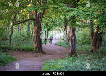 Escursioni in bicicletta nei boschi a Cobham, Kent, Regno Unito Foto Stock