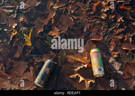 Gettati nel cestino in un stagno di Clapham Common, Londra, Regno Unito Foto Stock