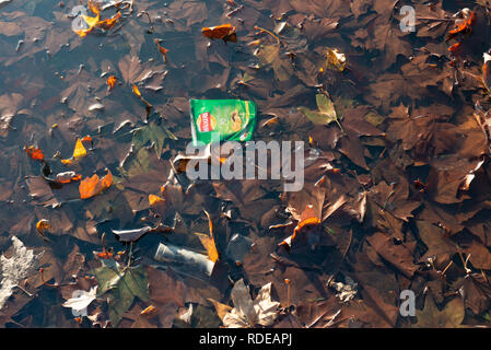 Gettati nel cestino in un stagno di Clapham Common, Londra, Regno Unito Foto Stock