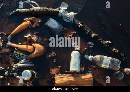 Gettati nel cestino in un stagno di Clapham Common, Londra, Regno Unito Foto Stock